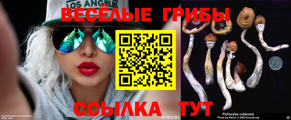 дарнет шоп  Псилоцибиновые грибы Cubensis  Костомукша  Вход с VPN  Псилоцибиновые грибы MAGIC MUSHROOMS 